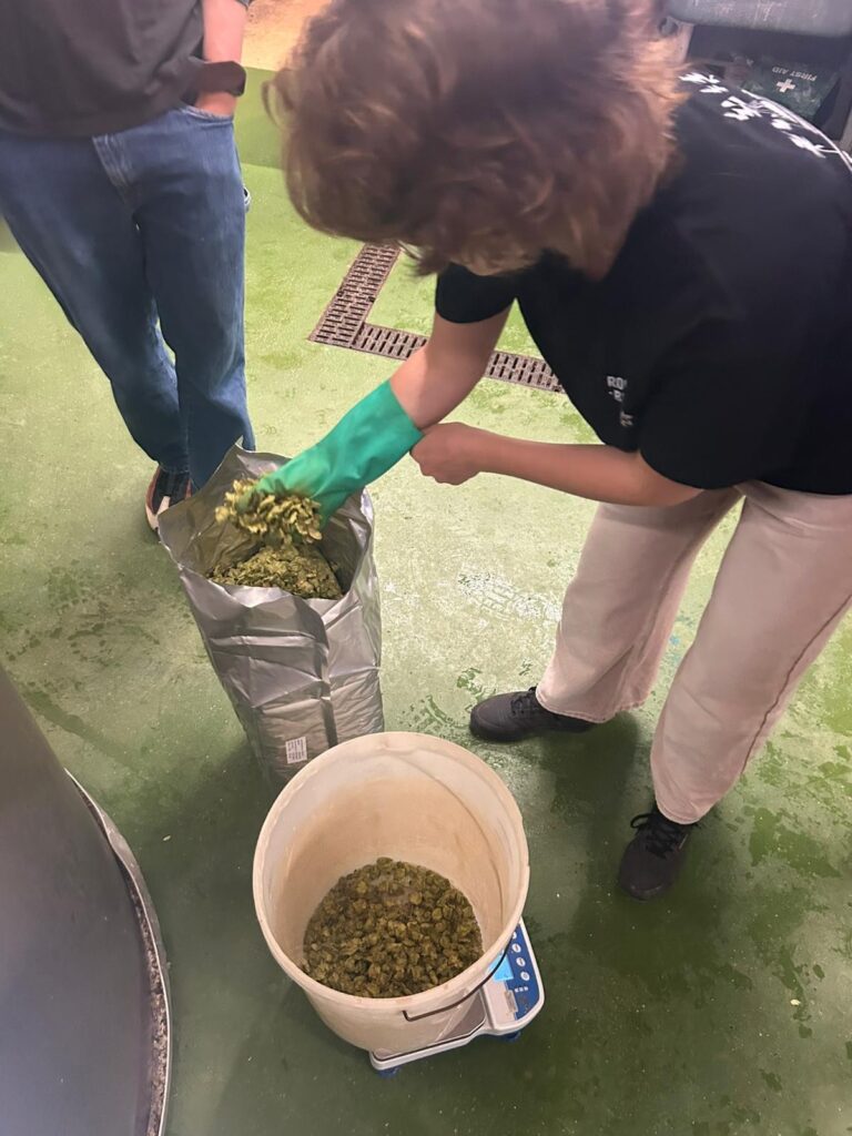 Hops