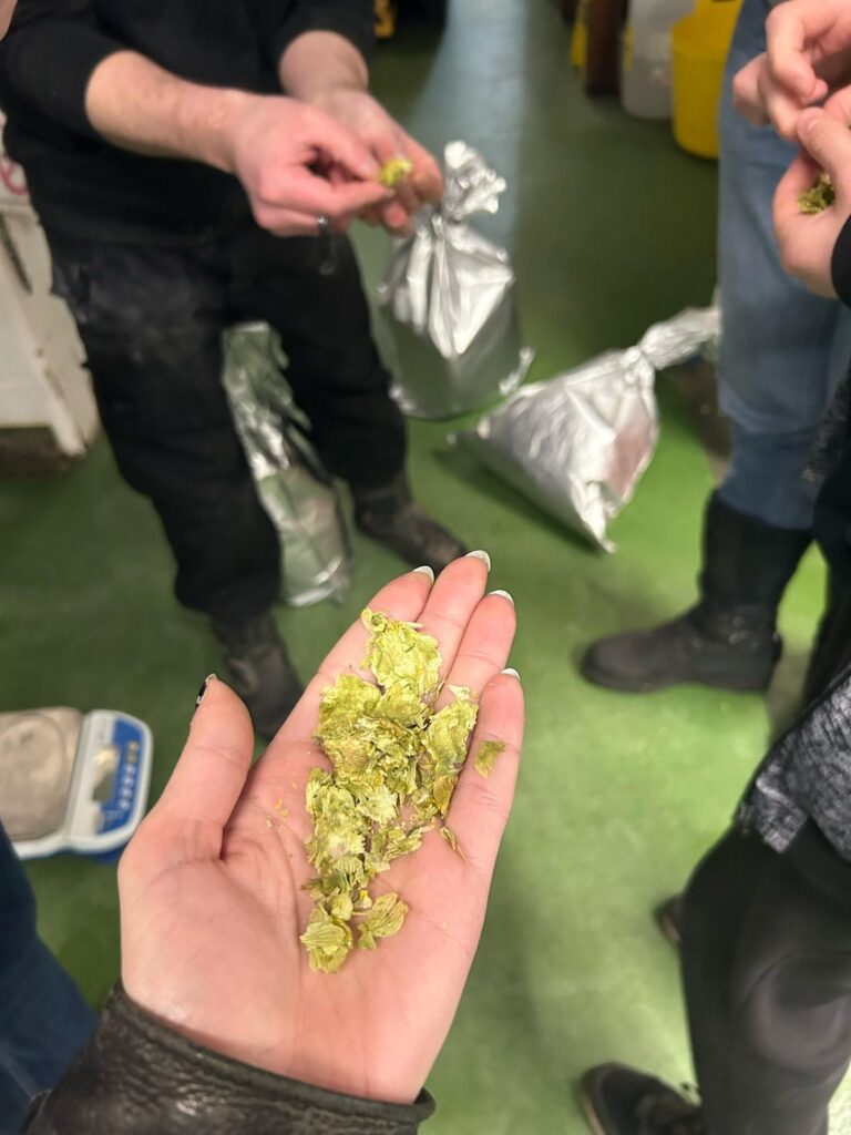 Hops image